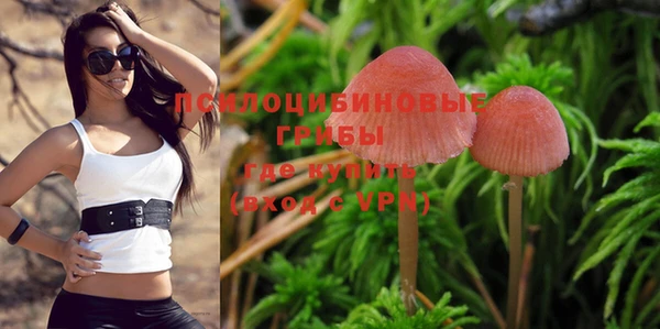 кокаин Козловка