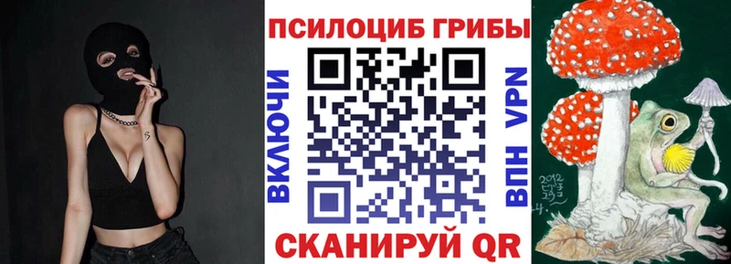 Галлюциногенные грибы Psilocybine cubensis Невьянск
