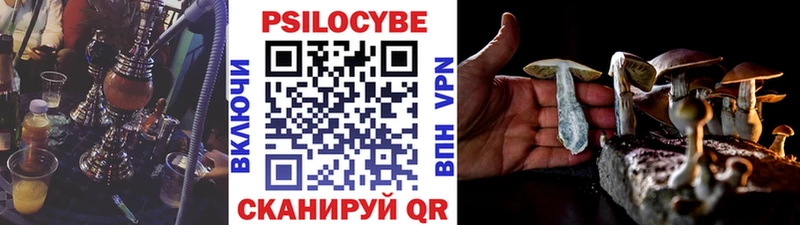 Псилоцибиновые грибы Psilocybe  Купить  Невьянск 
